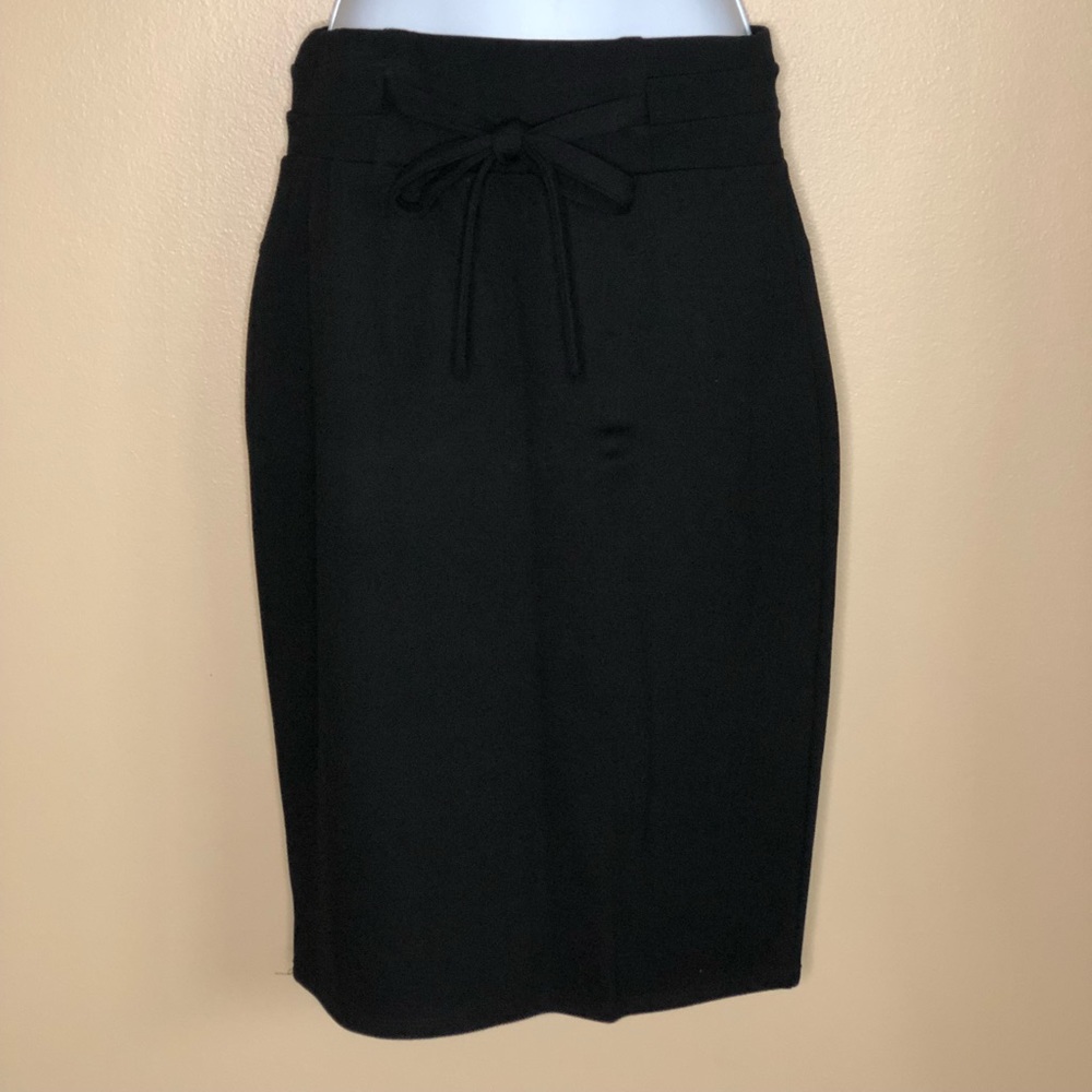 NWOT Classic Concepts Skirt